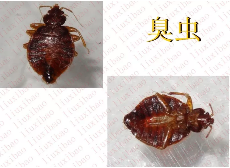 請?zhí)砑訄D片